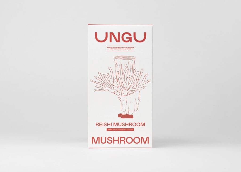 Reishi grybų auginimo rinkinys | DYDIS S - Image 4