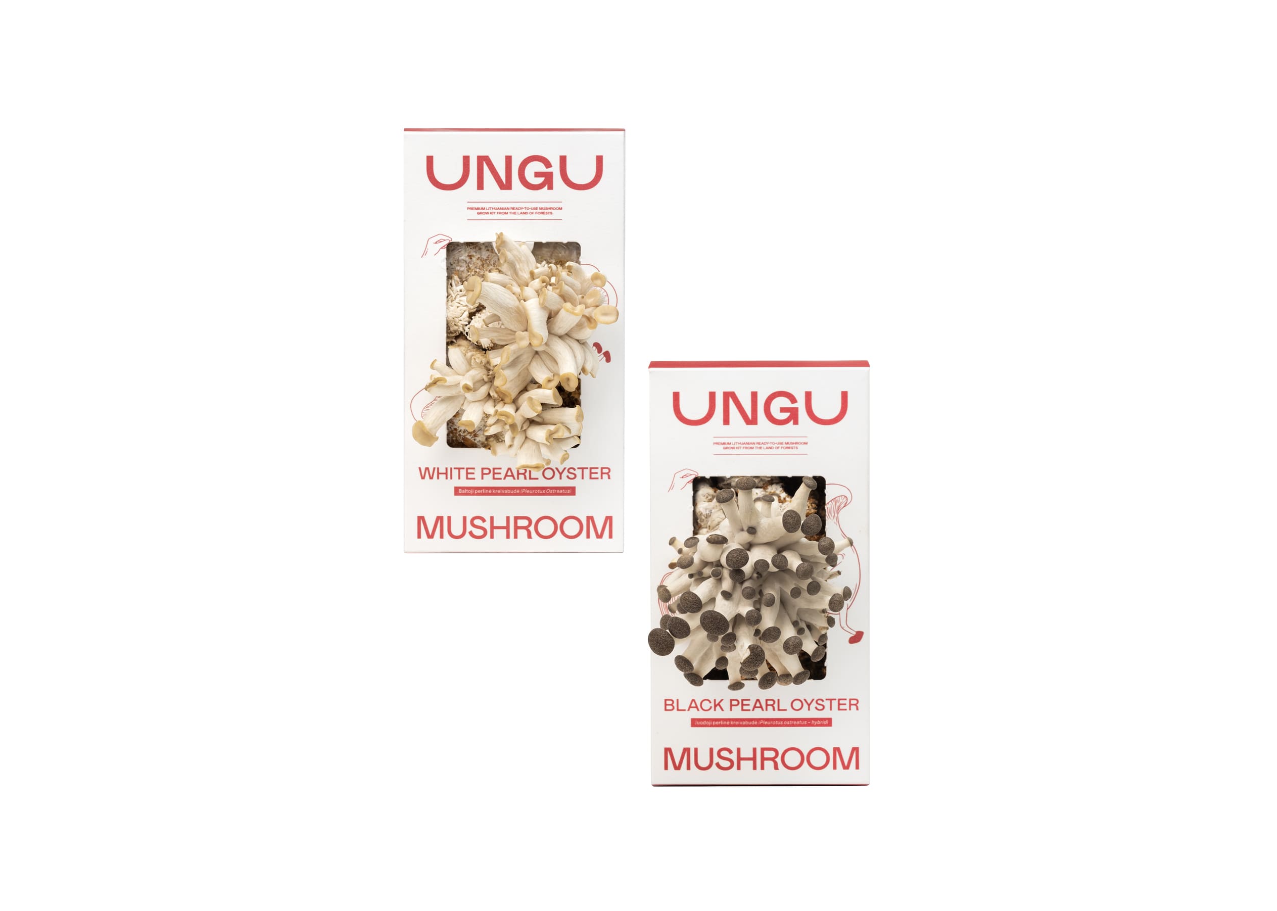WHITE & BLACK PEARL OYSTER MUSHROOM GROW KITS | SIZE S - Image 2