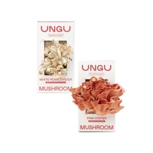 WHITE & PINK OYSTER MUSHROOM GROW KITS | SIZE S