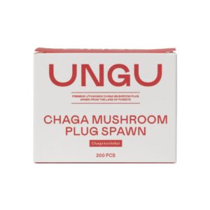 Chaga Plug Spawn, 200 pieces