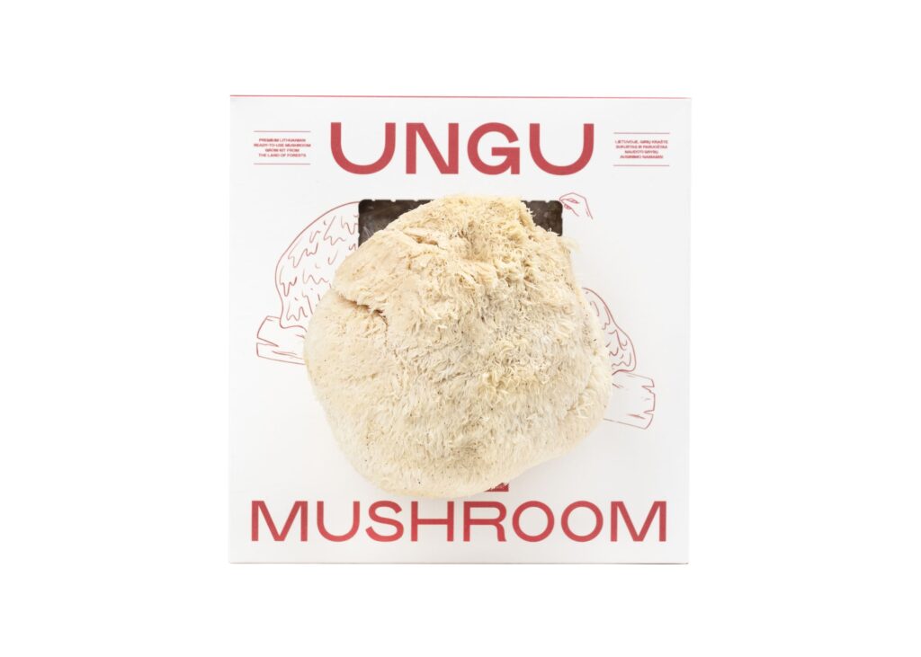 LION'S MANE & PINK OYSTER MUSHROOM GROW KITS | SIZE M - Image 4