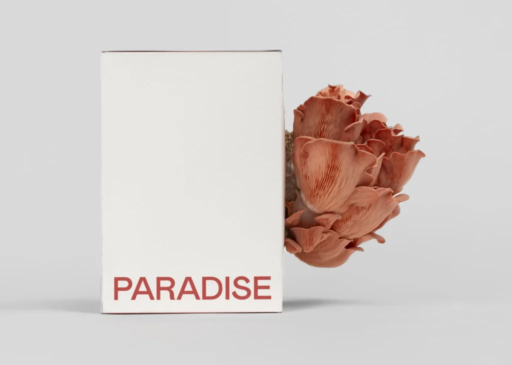 WHITE & PINK OYSTER MUSHROOM GROW KITS | SIZE M - Image 5