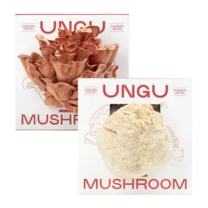 LION'S MANE & PINK OYSTER MUSHROOM GROW KITS | SIZE M