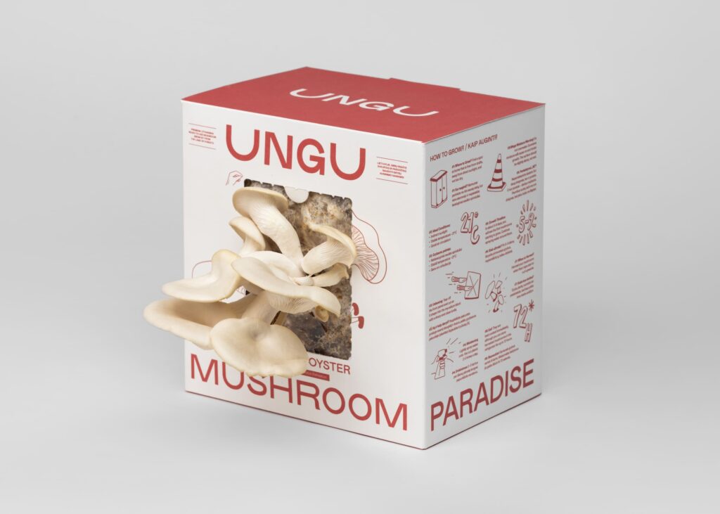 WHITE & PINK OYSTER MUSHROOM GROW KITS | SIZE M - Image 6