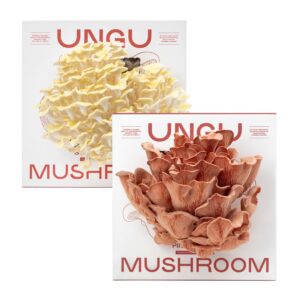 PINK & GOLDEN OYSTER MUSHROOM GROW KITS | SIZE M