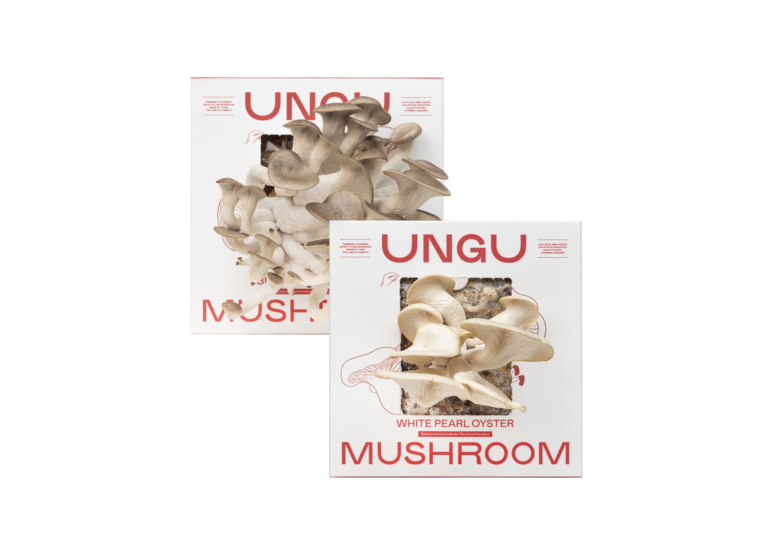 WHITE & BLACK PEARL OYSTER MUSHROOM GROW KITS | SIZE M - Image 2
