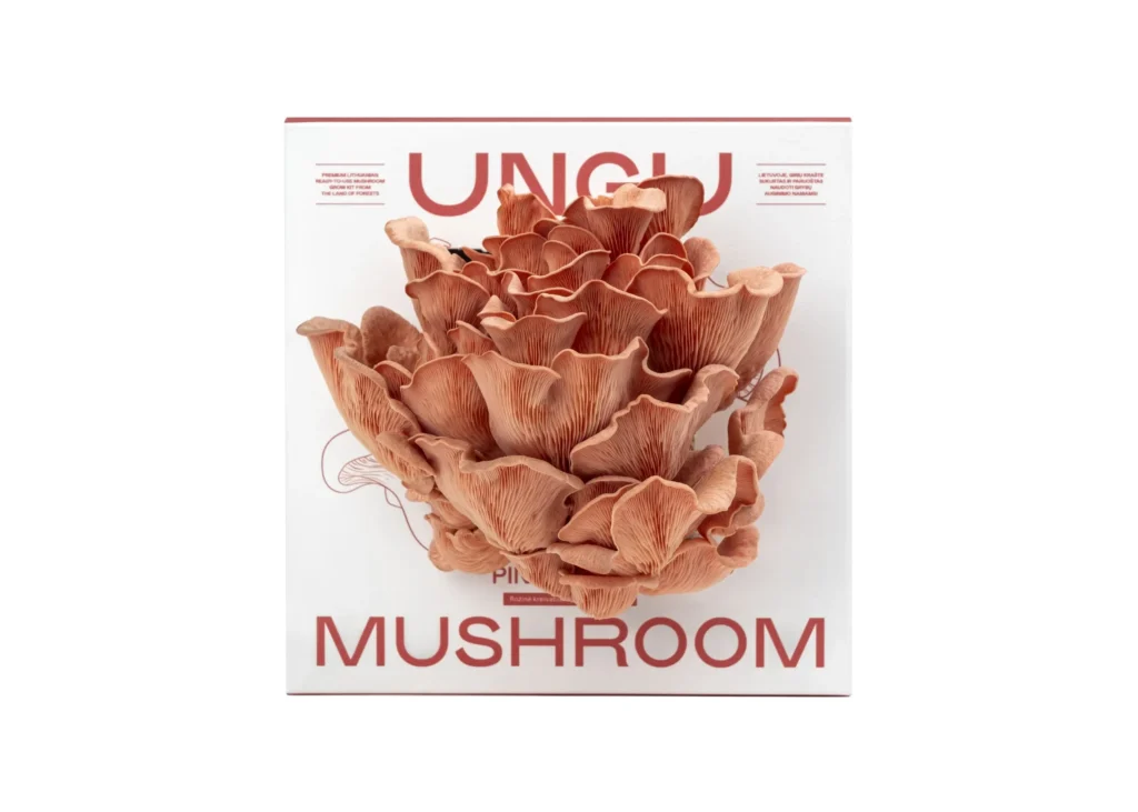 WHITE & PINK OYSTER MUSHROOM GROW KITS | SIZE M - Image 3