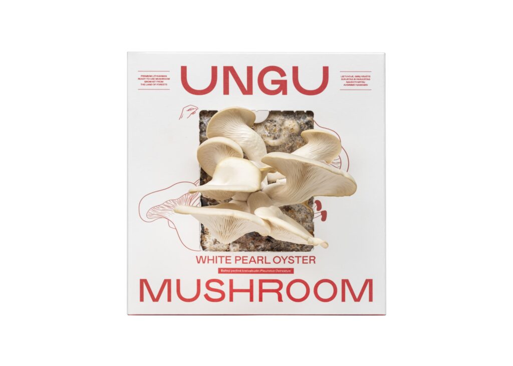 WHITE & PINK OYSTER MUSHROOM GROW KITS | SIZE M - Image 4