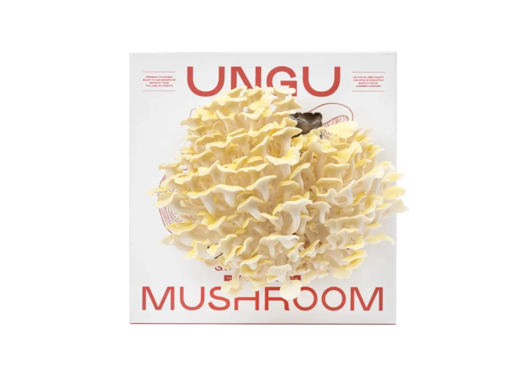 PINK & GOLDEN OYSTER MUSHROOM GROW KITS | SIZE M - Image 4