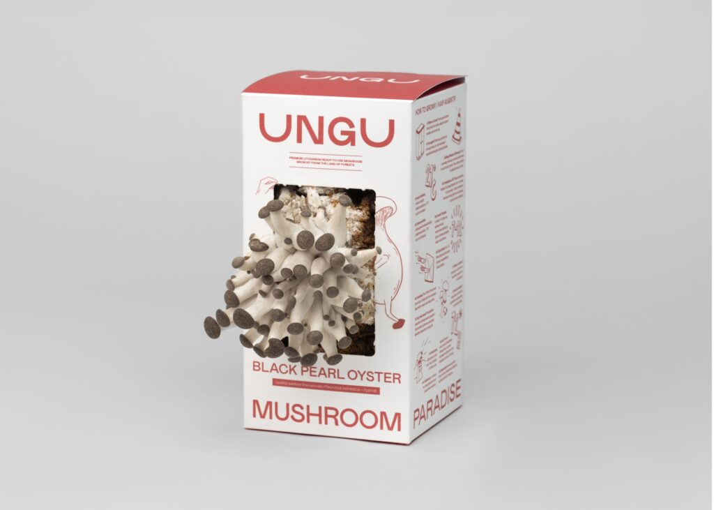 WHITE & BLACK PEARL OYSTER MUSHROOM GROW KITS | SIZE S - Image 6