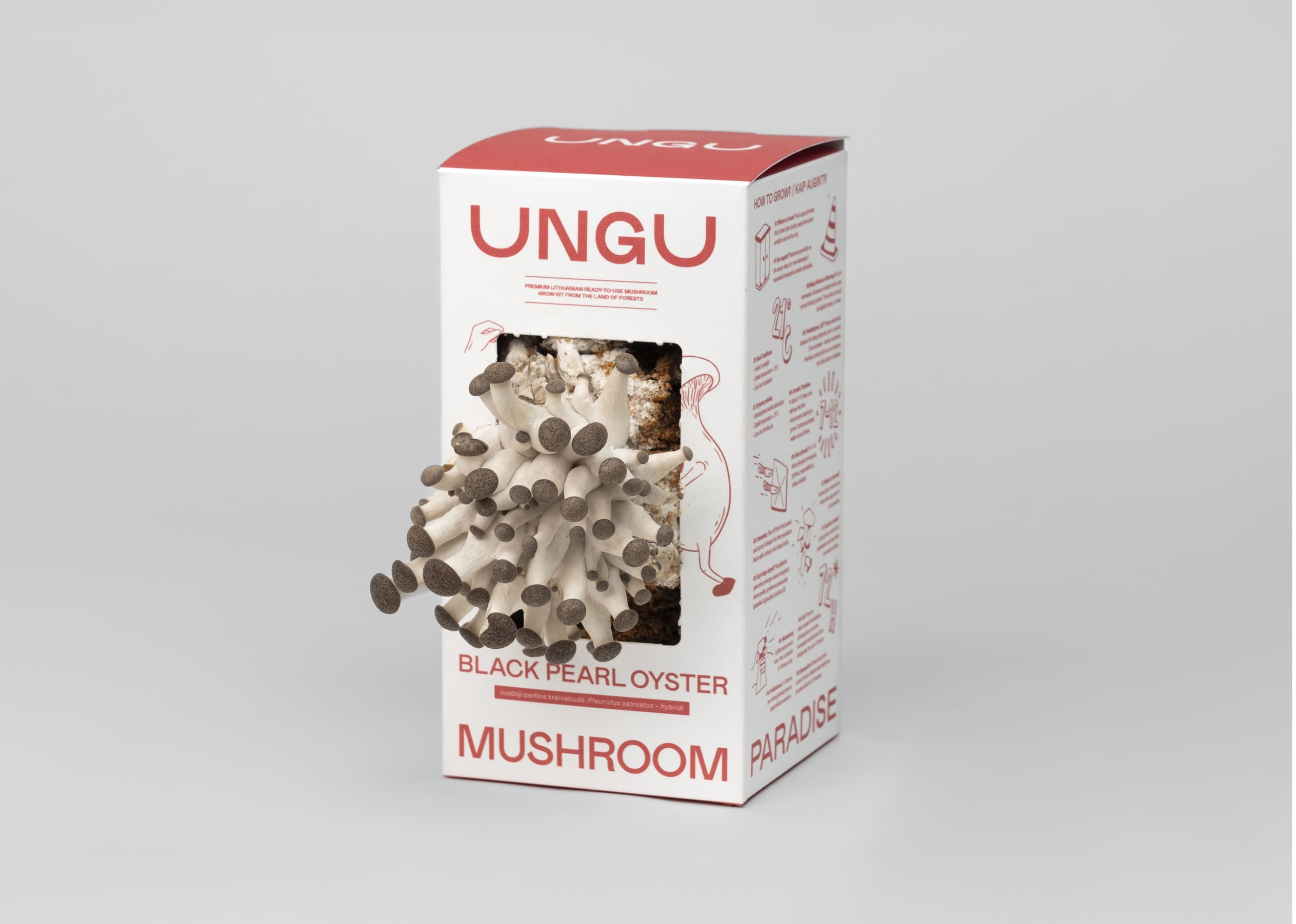 WHITE & BLACK PEARL OYSTER MUSHROOM GROW KITS | SIZE S - Image 6