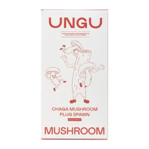Chaga Plug Spawn, 1000 pieces