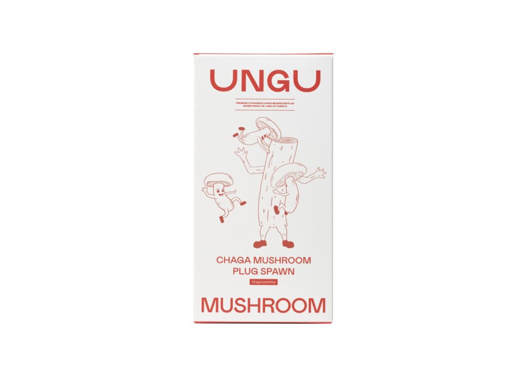 Chaga Plug Spawn, 1000 pieces - Image 2