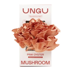 Pink Oyster Grow Kit | SIZE S
