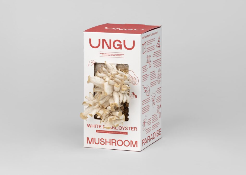 WHITE & PINK OYSTER MUSHROOM GROW KITS | SIZE S - Image 4