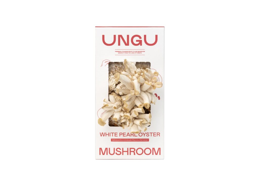 WHITE & PINK OYSTER MUSHROOM GROW KITS | SIZE S - Image 2