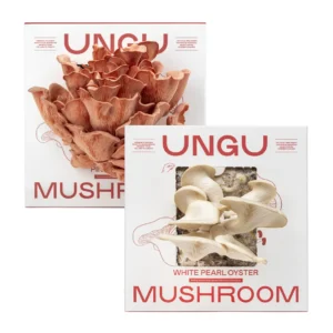 WHITE & PINK OYSTER MUSHROOM GROW KITS | SIZE M