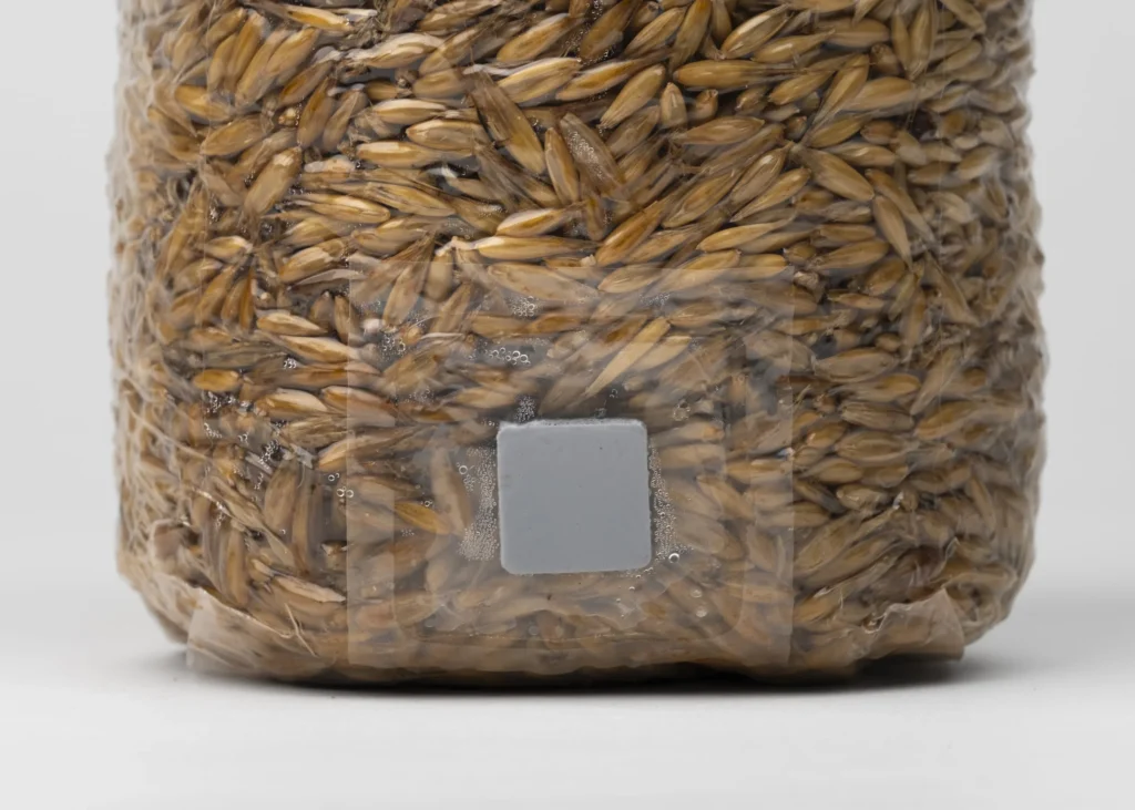 Sterile Grain, 1 kg - Image 5